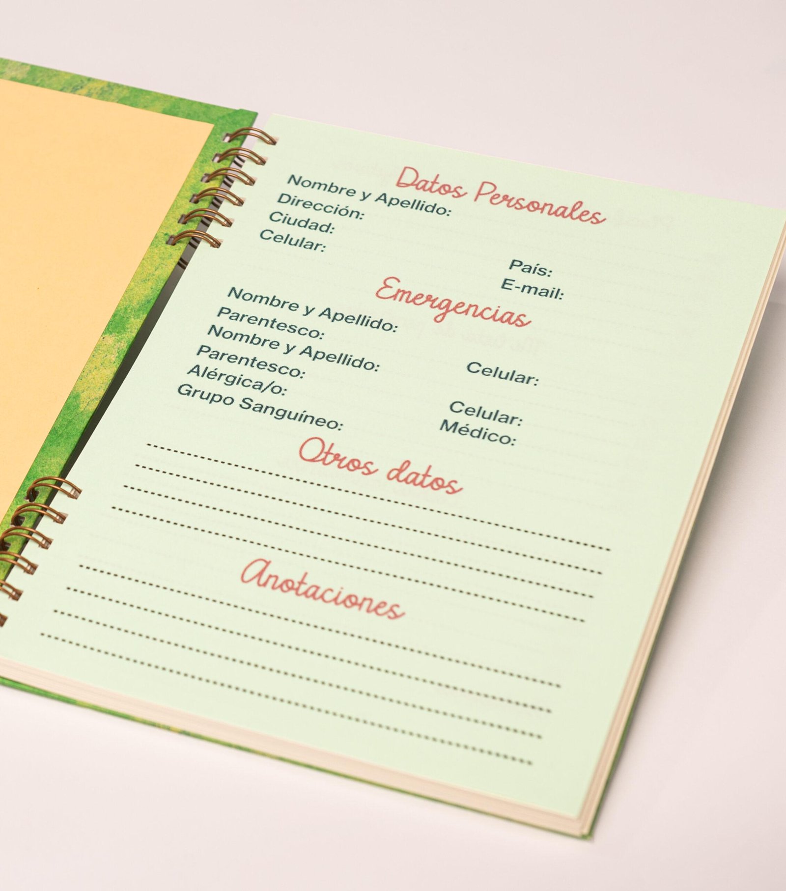 Cuaderno A4 Texturizado color verde - Image 3